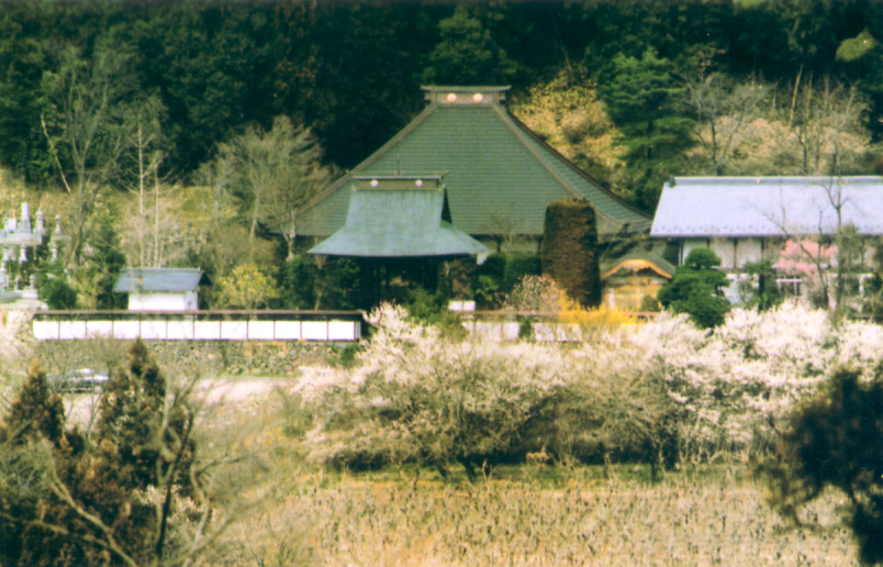 山野草の寺